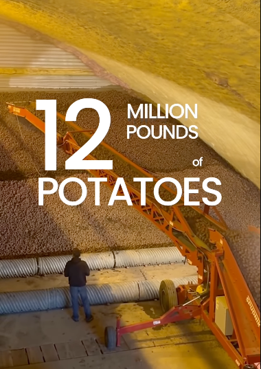 Rescuing 12 Million Pounds of Potatoes