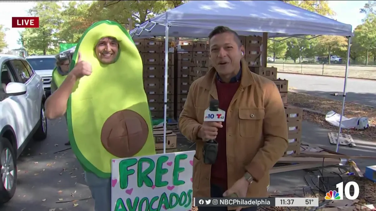World's Largest Avocado Distribution